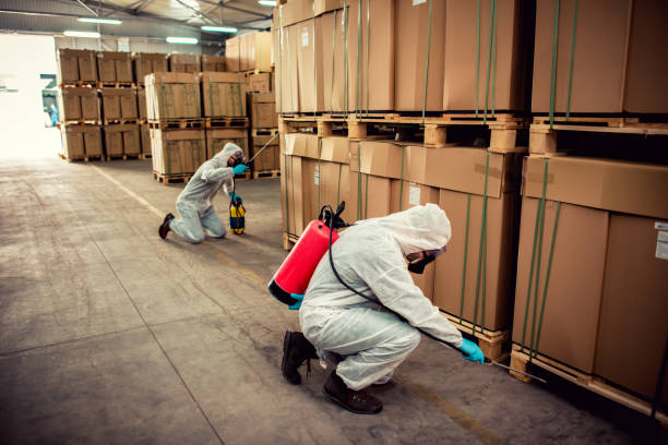 Best Best Pest Control Companies  in Gumlog, GA
