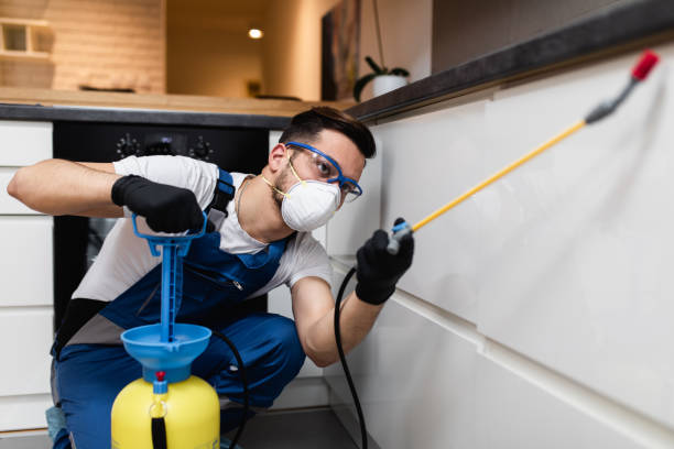 Best Rat Extermination Near Me  in Gumlog, GA