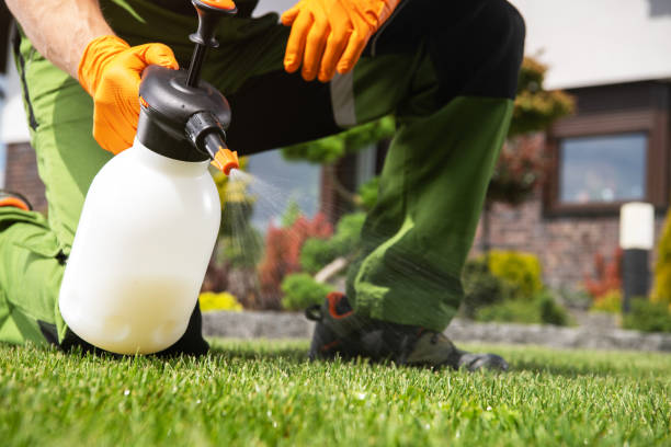 Best Emergency Pest Control  in Gumlog, GA