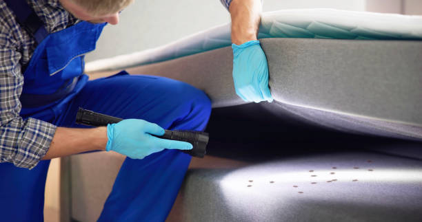 Pest Control for Restaurants in Gumlog, GA