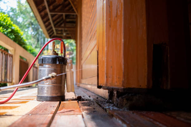 Best Exterminator Services  in Gumlog, GA
