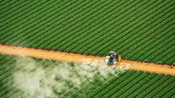 Best Pest Control Near Me  in Gumlog, GA